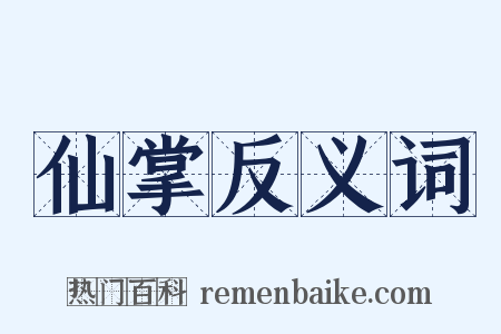 仙掌反义词是什么意思的图片
